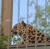 ヘルシンキ動物園へ_フィンランド・エストニア旅行2017_Day1_5