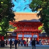 修学旅行をもう一度&#65281;　京都下鴨神社編　2024.11.10