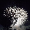 塩沢祭り・花火大会