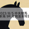 2023/8/5 中央競馬 新潟 9R 月岡温泉特別
