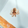 A baby octopus