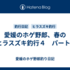 愛媛のホゲ野郎、春のヒラスズキ釣行４　パート1
