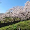 苦楽園口｜2024年3月27日（水）から越水浄水場でさくらの通り抜けが行われます