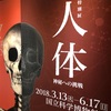 特別展「人体ー神秘への挑戦ー」・感想