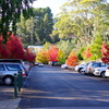 【オーストラリア】Daylesford（デイルズフォード）旅行④Hepburn Mineral Springs Reserveで温泉水をお土産に