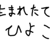 【４コマ漫画】第十五話　生まれたてのひよこ