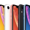 新型iPhone SE第4世代はiPhone XRと同じフォームファクターに：リーカー