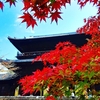 京都ぶらり　2021紅葉　岡崎界隈