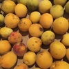 無農薬の果物を買うことは。