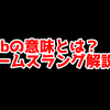 【スラング】ゲームの「Dub」ってどういう意味？意味を解説！【単語解説】