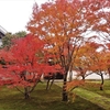 妙覚寺