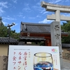西宮酒ぐらルネサンス（ごろう）