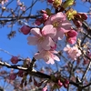 満腹、盛沢山の1週間！