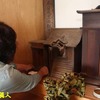 小夫嵩方のアマチャ
