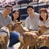 「静かな日本旅」を楽しむ中国人観光客は静かだから目立たない件