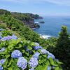 日帰り伊東旅行（其の弐）+のんびり過ごした日曜日他