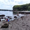 油壺 胴網海岸で初めてのシュノーケル5歳と3歳（2023年7月）