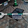 スマホの画像から～この頃のこと。