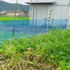 我・今日を愉しむ ・一日遅れた………。