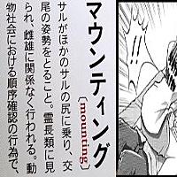 マウンティング女子とは 社会の人気 最新記事を集めました はてな マウンティング女子とは 社会の人気 最新記事を集めました はてな