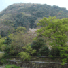 新緑と花の箱根路