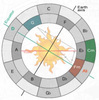 modal reharmonization 2