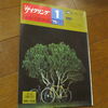 えっせい  ディレイラーにまつわる話（1975年1月号）S50