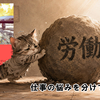 【『ぼくは今日も定時で帰る。　仕事に疲れたあなたを癒す44の物語』レビューブログPart２】仕事の悩みを「自分・相手・環境」に分けて読み解く