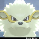 色違い 国際孵化進化 ジャランゴ Usum キロの色違いポケモン図鑑ブログ