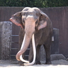 2020/08/22 横浜市立金沢動物園