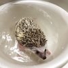 久々なのにイヤイヤな入浴