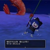ドラクエ10の2キャラピタリ賞とピクミンブルームふりかえ
