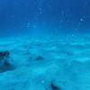 『海中温泉』それは海底に湧く秘湯！潜らないと行けない珍しい温泉～式根島ダイビング