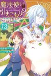 【書評】魔法使いで引きこもり? 13