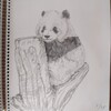 祝シャンシャン8歳