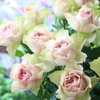 WeekEnd Flower 6月第3週