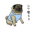 夏のマフラー