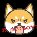 今日から俺はコロいぬだ！