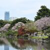新宿御苑で八重桜を見る(1)