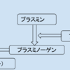 rt-PA療法