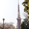 お花見しながら芝公園をお散歩！