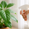 【葉水】観葉植物がもっと元気になる！🌈🚿葉水の基本とやり方ガイド