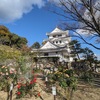 写真で記録　思いを込めて　🍂紅葉に染まる旭城の庭🍂