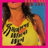 Bon Jovi - Slippery When Wet：ワイルド・イン・ザ・ストリート -