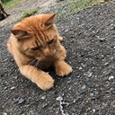 おや、こんなところに無駄知識。