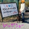 2025年12月、始まりました🎄