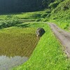 浅川ループライン沿いにある丸岩の秘密