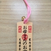 にいにの修学旅行