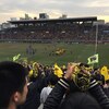  ラグビー観戦