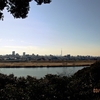 里見公園エリアの越冬幼虫